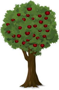 tree, apple, apple tree